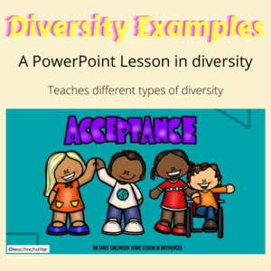 diversity examples