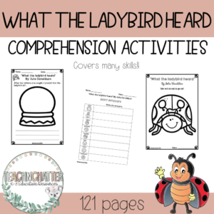 what-the-ladybird-heard-activities-early-years