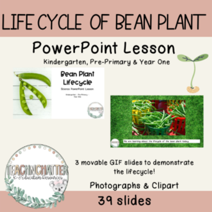 bean-life-cycle-stages