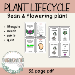lifecycle-of-a-plant