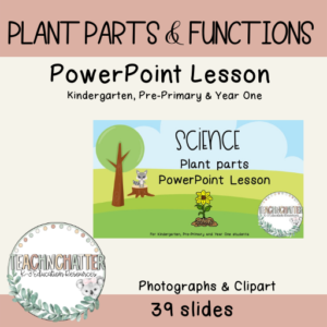 plant-parts-lesson-plan