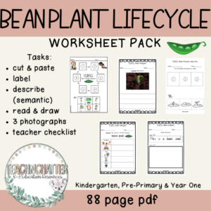 plant-growing-worksheets