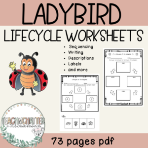ladybird-life-cycle-worksheet