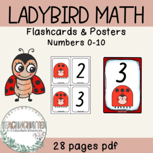 ladybird-math-games